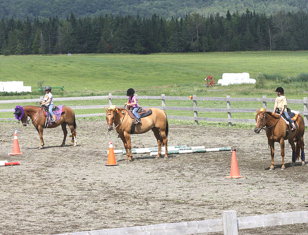 Cours d'équitation en Estrie Cours d'équitation en Estrie