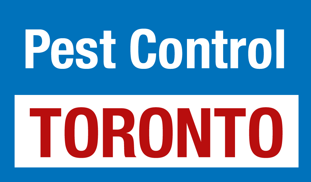 Pest Control Toronto