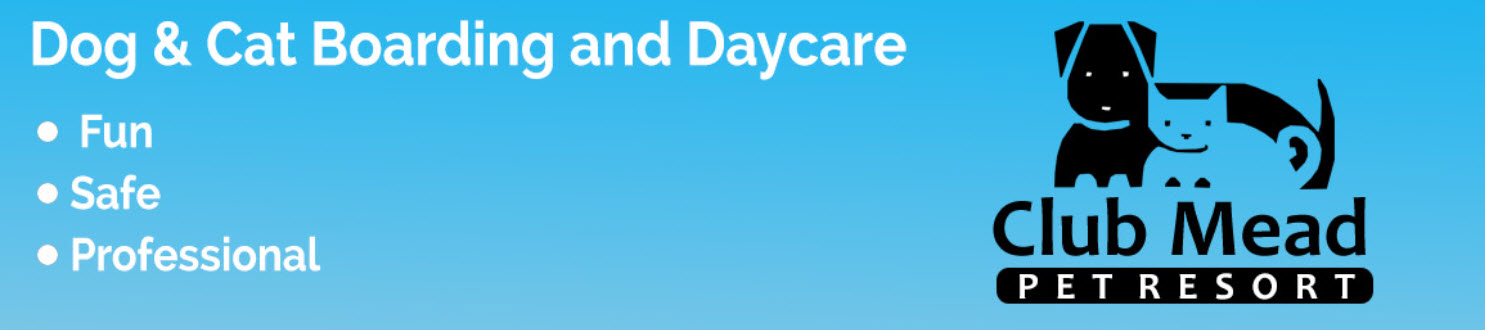 Dog Daycare Edmonton