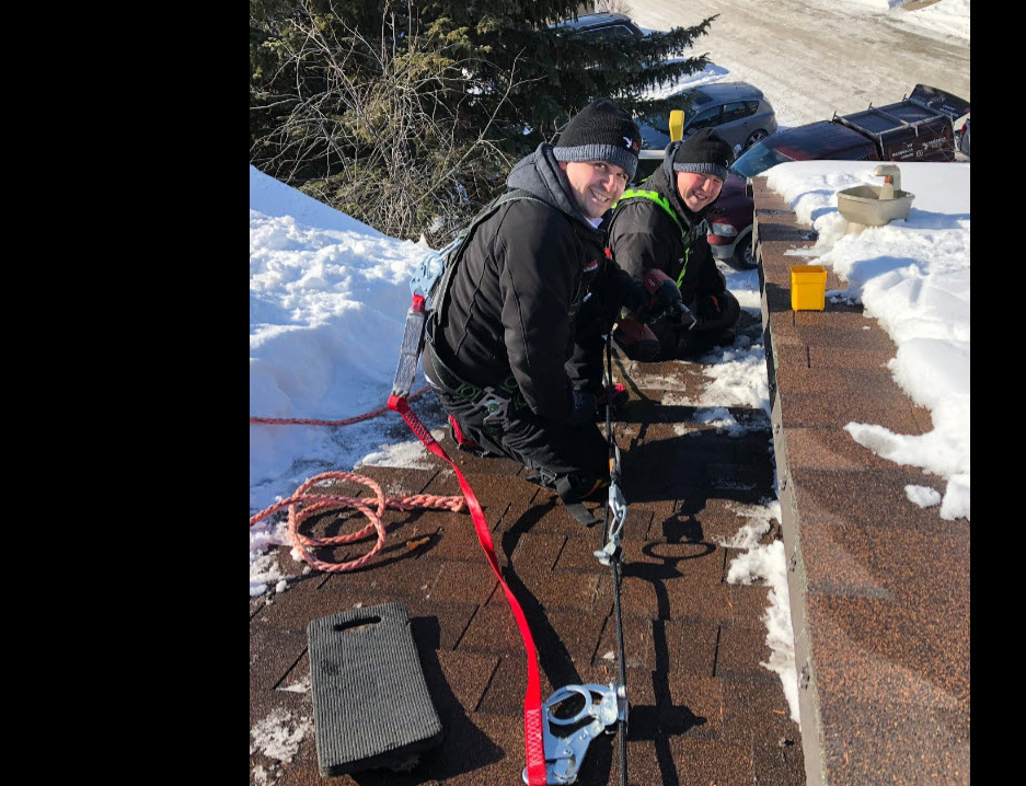 Exterminators Rooftop Calgary