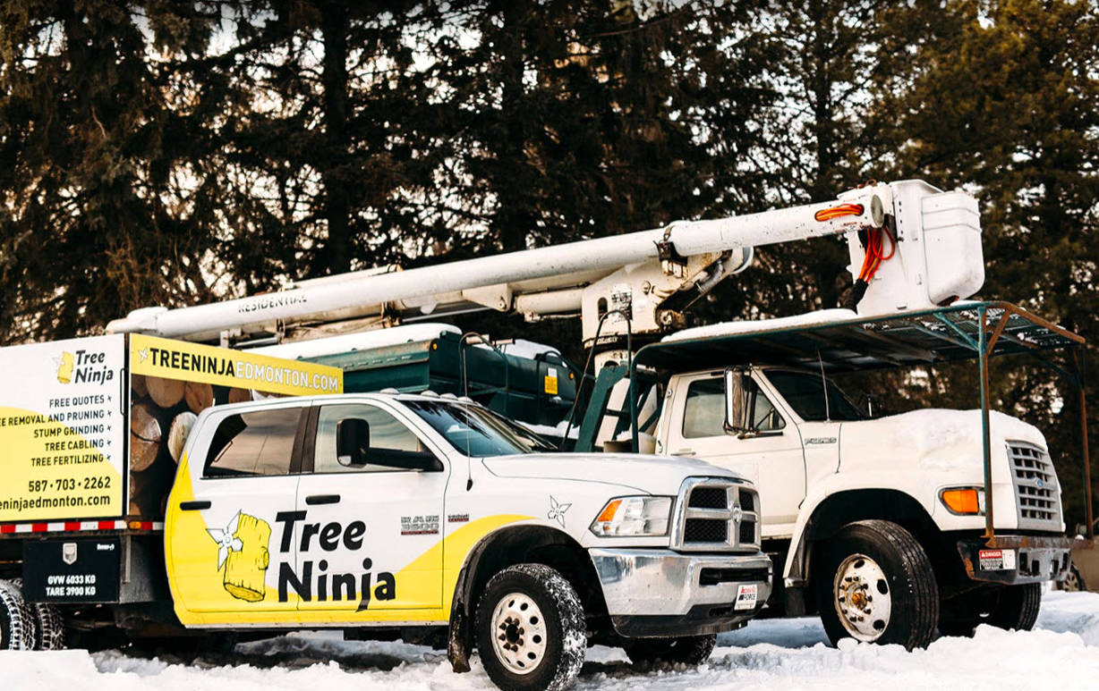 Tree Removal Trucks