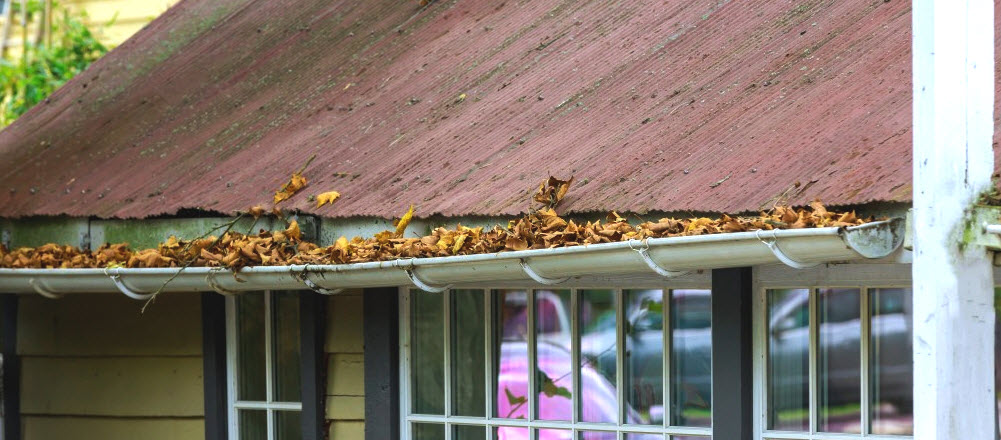 Clogged Gutter Cleaning