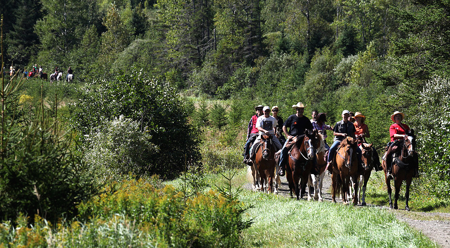 Cours d'équitation Cantons de l'Est