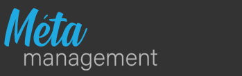 MetaManagement