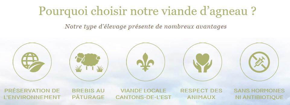 Pourquoi choisir notre viande d'agneau