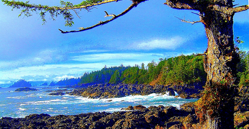 Ucluelet BC