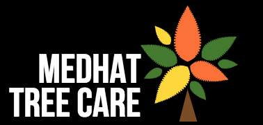 Medhat Tree Care