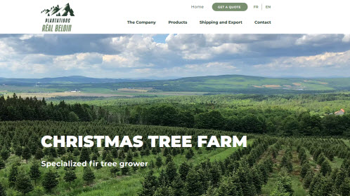 Fir Tree Grower
