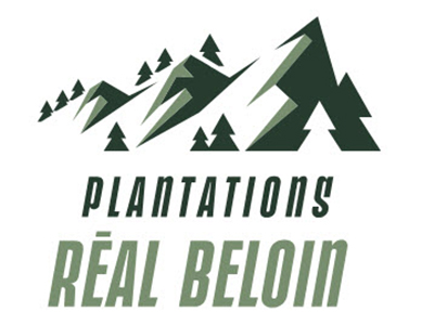 Plantations Real Beloin