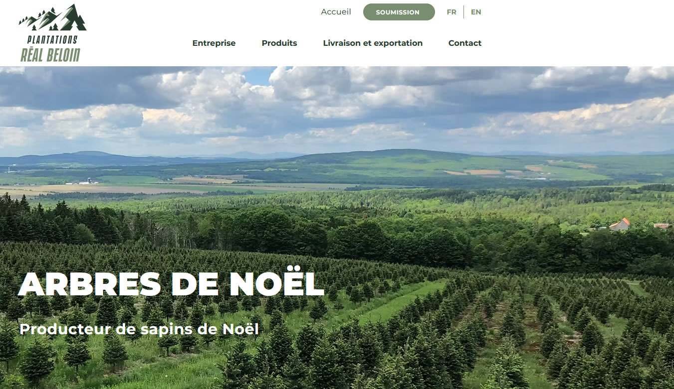 Producteur Arbres de Noël